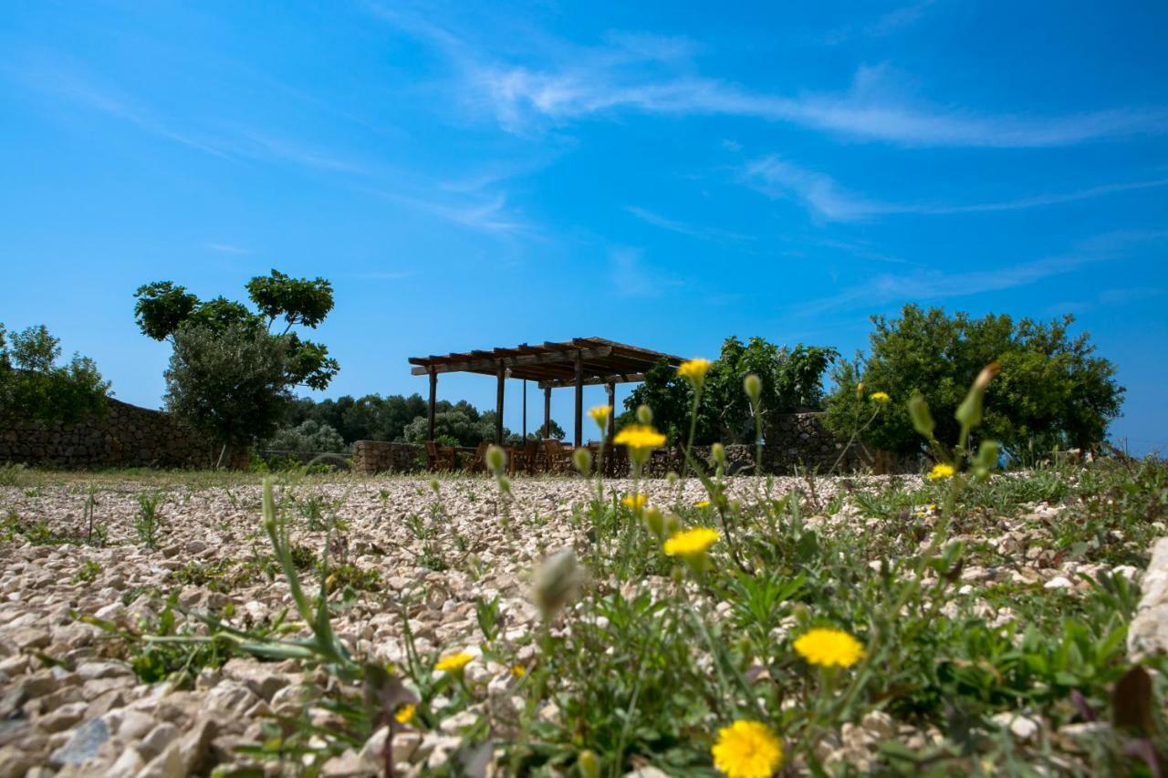 Antica Masseria Ficazzana - Tenuta Marina Di Pescoluse Extérieur photo